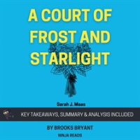Summary__A_Court_of_Frost_and_Starlight